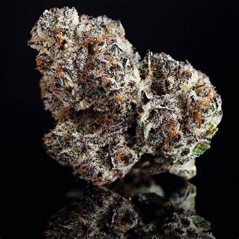 Oreoz Strain Gelato Seeds