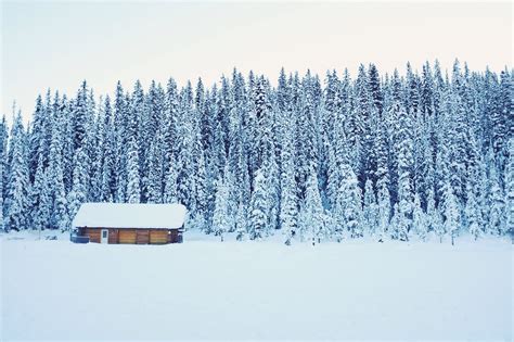 5 Tips to Beat Cabin Fever - NC Lifestyle Home