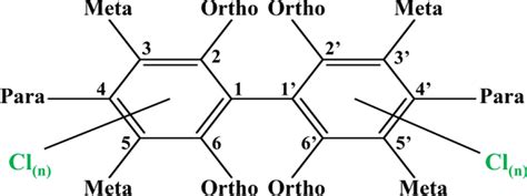 Representative chemical structure of PCBs. The different phenyl... | Download Scientific Diagram