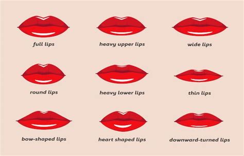 Why Are My Lips Shaped Weird Lipstutorial Org