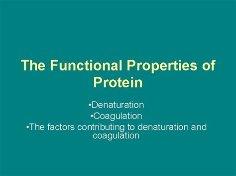 The Functional Properties Of Protein Denaturation Coagulation The