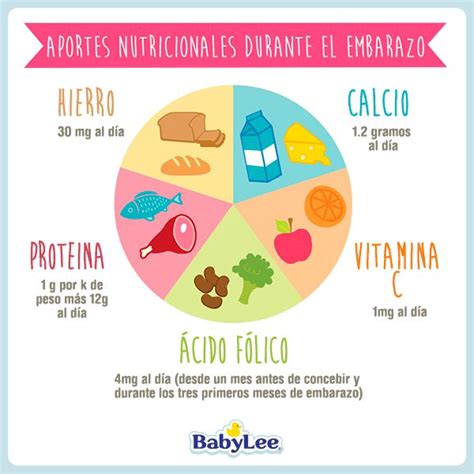 Aportes Nutricionales Durante El Embarazo Pie Chart Chart