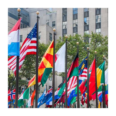 United Nations Flags Complete Set | Outdoor U.N. Flags | Fly Me Flag