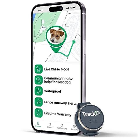 Top 10 Best Pet Tracker For Dogs Reviews And Buying Guide Katynel