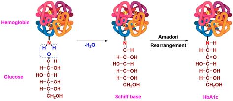 Sensors Free Full Text Trends In Quantification Of Hba1c Using Electrochemical And Point Of