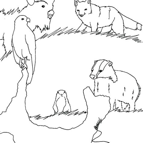 Grassland Coloring Page At Free Printable Colorings Pages To Print And Color