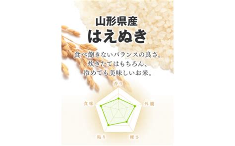 05a1048 11a はえぬき15kg 2023年11月上旬発送・令和5年産新米 山形県天童市 セゾンのふるさと納税