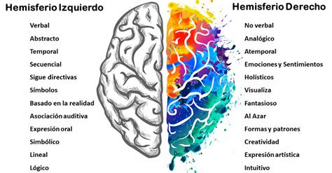 Cuadro Comparativo Sobre Los Hemisferios Cerebrales Cuadro Comparativo