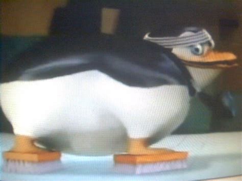 Private Is Shaking His Booty LOLZ Penguins Of Madagascar Image