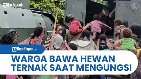 Akibat Teror Kkb Warga Distrik Kroptak Mengungsi Ke Kenyam