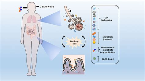 Frontiers Microbiota Modulation Of The Gut Lung Axis In COVID 19