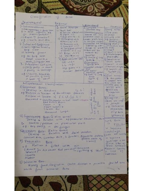 Classification of Bones | PDF