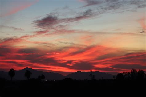 Phoenix Arizona Sunset - Phoenix Arizona Sunset With 2 Palm Trees Stock Photo 542a5ba4 23ba 46cb ...