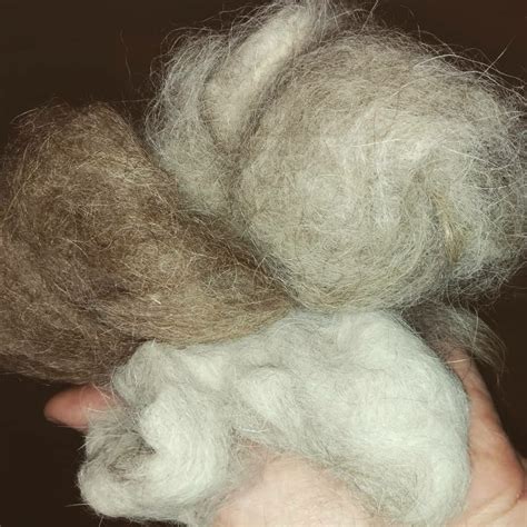 Радикулитный пояс из кошачьей шерсти. История создания: Персональные ...