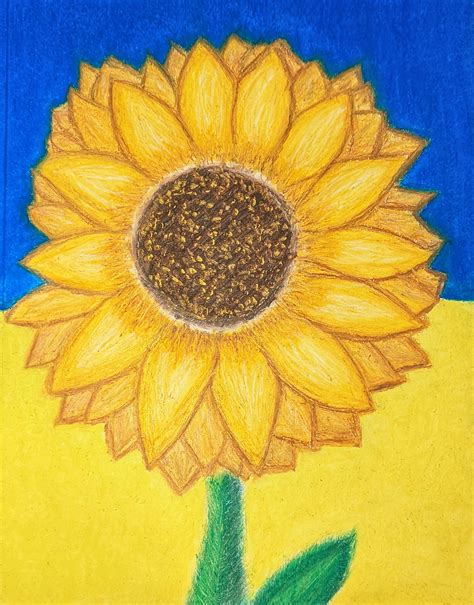 A Sunflower oil pastel drawing : r/Oilpastel