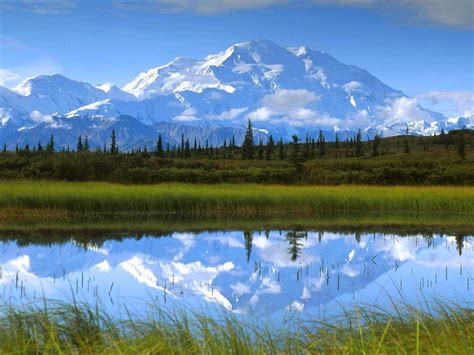 Denali National Park And Preserve Denali National Park Alaska