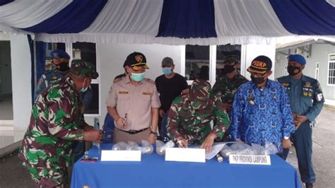 Lagi TNI AL Gagalkan Penyelundupan Ratusan Ribu Benih Lobster