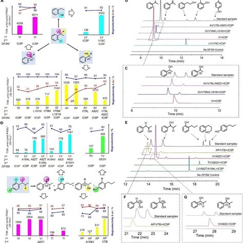 Pdf Regiodivergent And Enantioselective Hydroxylation Of C H Bonds By