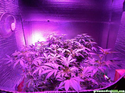 Interesting growing pot indoors lighting as your house equipments ...