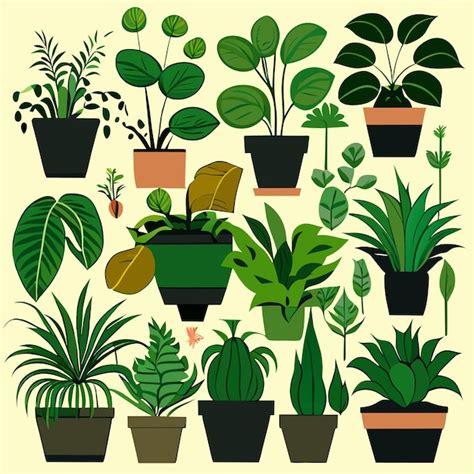 Colección De Plantas De Interior Dibujadas A Mano O Colección De