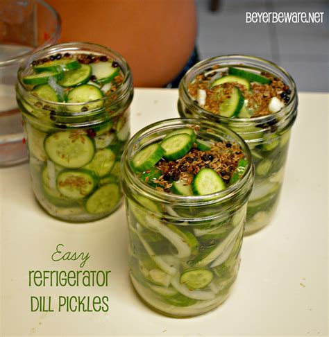 Refrigerator Dill Pickles Recipe Apple Cider Vinegar At Terry Julio Blog