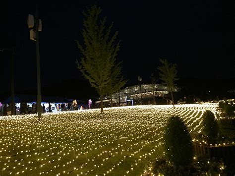 長岡市にある越後丘陵公園のサマーナイトプレゼンツのイルミネーションを観てきたよ にいがた旨いめし情報