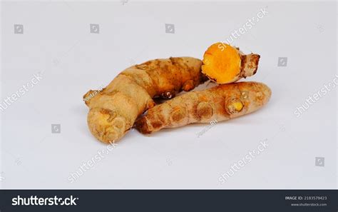 Kunyit Turmeric Curcuma Domestica Rhizome Plant Stock Photo 2183579423 ...