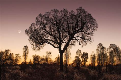 Uluru Astronomeet August 2015 Luke Tscharke Photography