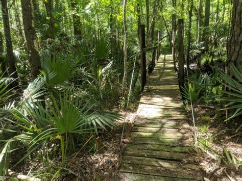 This Little-Known Trail In Florida Will Enchant You And Your Kids With Its Secret Boardwalks And ...