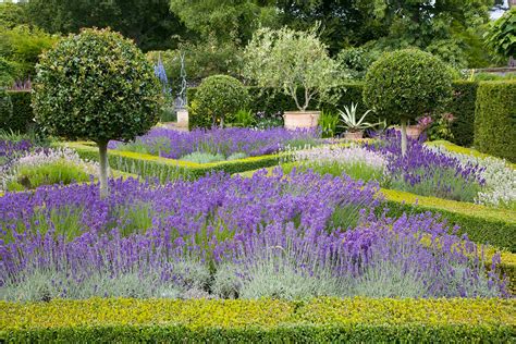 Formal Garden Design & Landscape with Hedges at InstantHedge