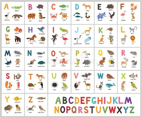 Zoo Animals Alphabet