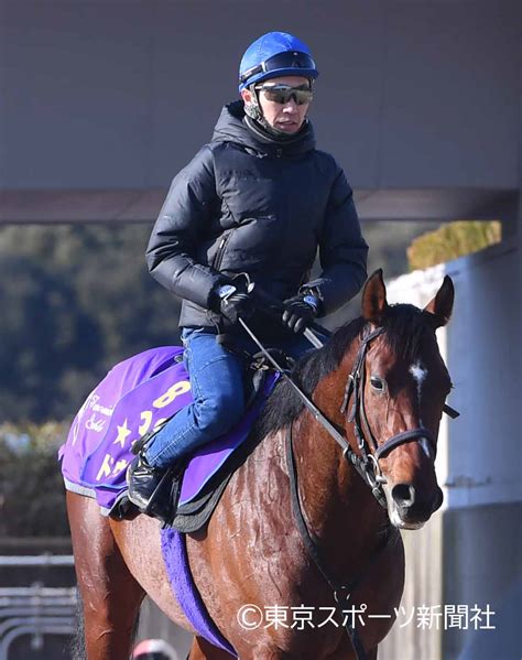 東スポ競馬 On Twitter 2歳王者 ドウデュース 武豊 弥生賞 東スポ競馬 競馬