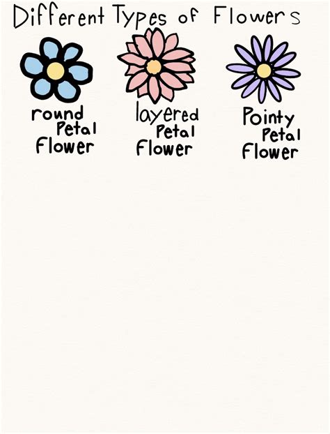 Different Types Of Flowers Notability Gallery