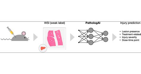 A Weakly Supervised Deep Learning Framework For Whole Slide