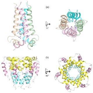 Ribbon Representation Of The Nmr Structure As Viewed From The Side