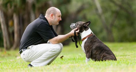 How To Show Your Dog Affection