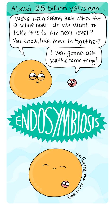 Endosymbiosis! - Beatrice the Biologist