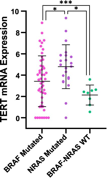 Association Between Nras Braf Status And Tert Mrna Expression Levels