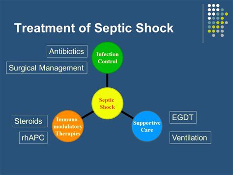 Antibiotic Lock Therapy Definition