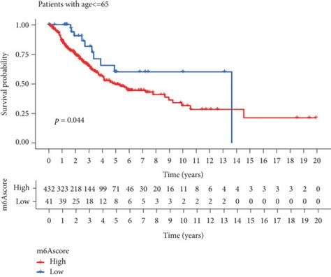 Role of m6A modification patterns in IPS and anti-PD-1/L1... | Download ... 