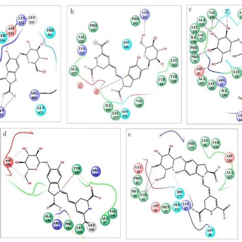 A E 2d Molecular Docking Of Ligand Receptor Interaction Diagrams Of