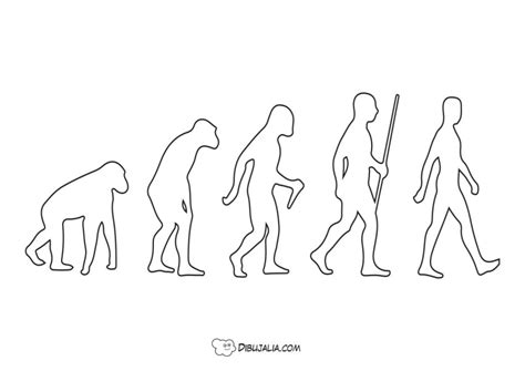 Evolución de los humanos Dibujo 1353 Dibujalia Dibujos para