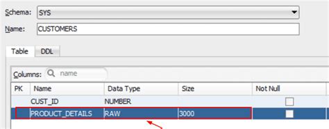 Oracle Raw Datatype Databasefaqs