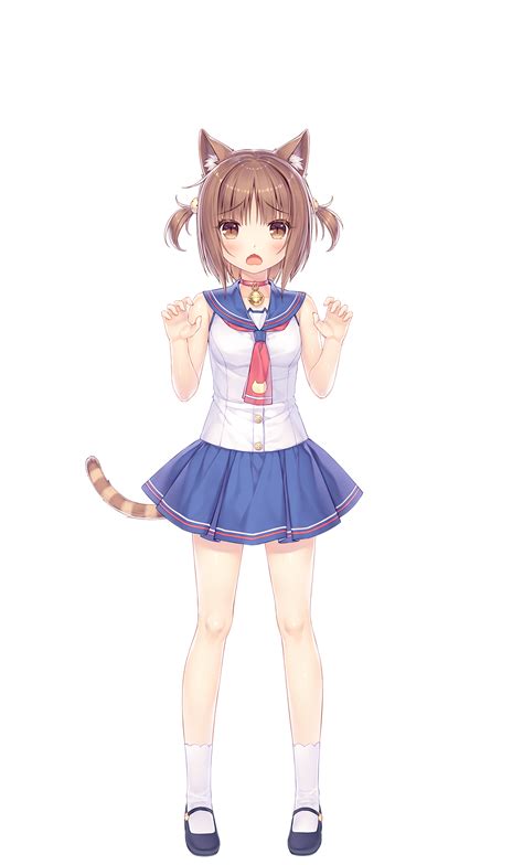 Azuki Nekopara Wiki Fandom