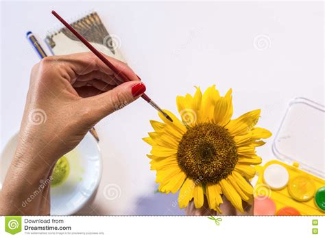 Woman hands painting stock photo. Image of curve, hand - 73529418