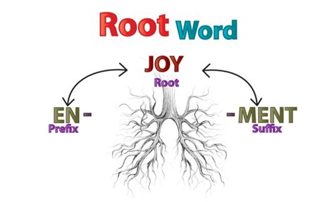 Medical Word Roots Prefixes And Suffixes Medical Words Prefixes And Hot Sex Picture