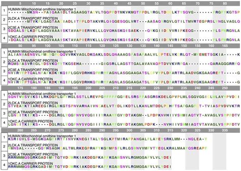 The Multiple Sequence Alignment Of The Target Protein With Its Three