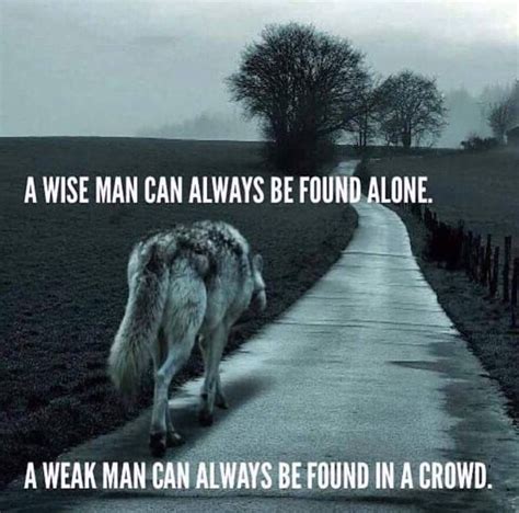 29 Being A Lone Wolf Quotes | Educolo