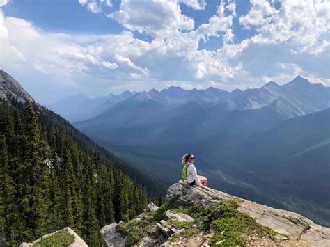 Banff Sulphur Mountain Guided Hike Getyourguide