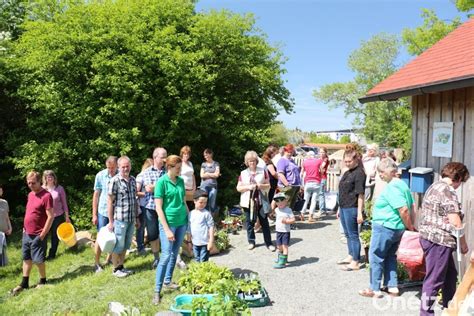 Pflanzentauschb Rse Des Obst Und Gartenbauvereins Kemnath Gut Besucht